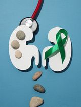 Die Niere: Mehr als nur ein Filter